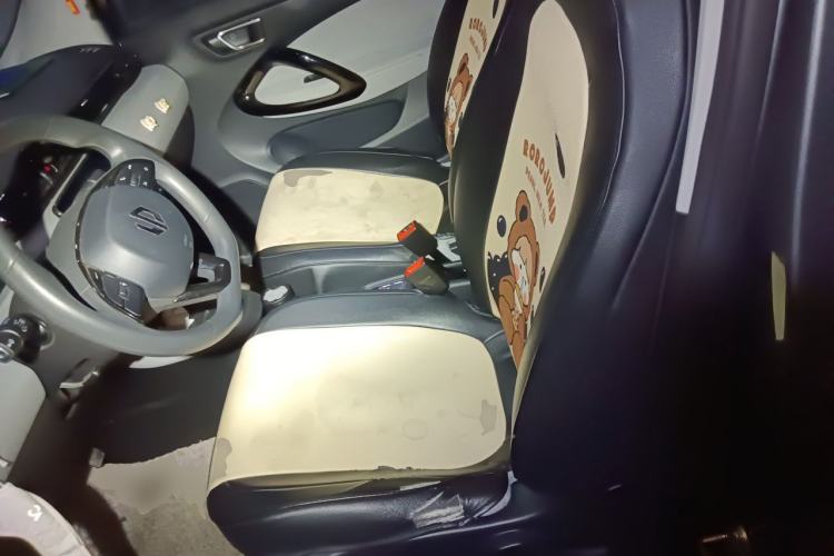 Used Leapmotor T03 2022 Crystal Edition Left Front Seat