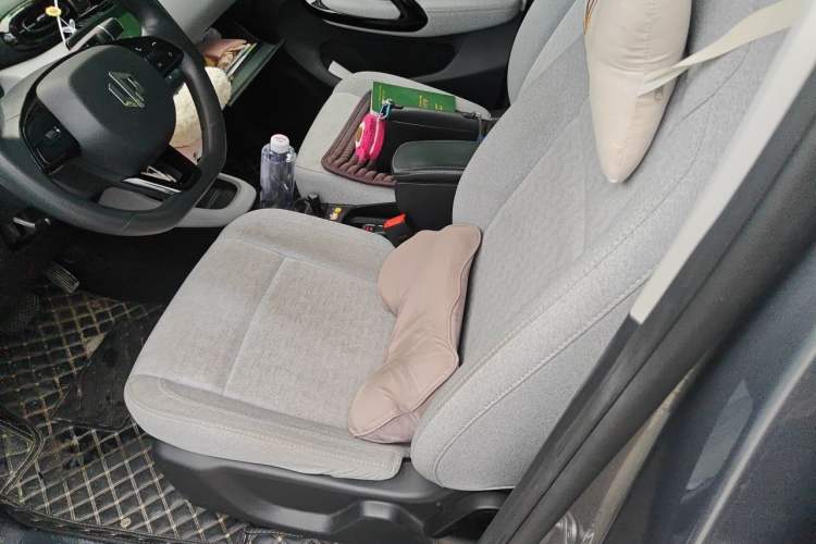 Used Leapmotor T03 2022 Crystal Edition Left Front Seat