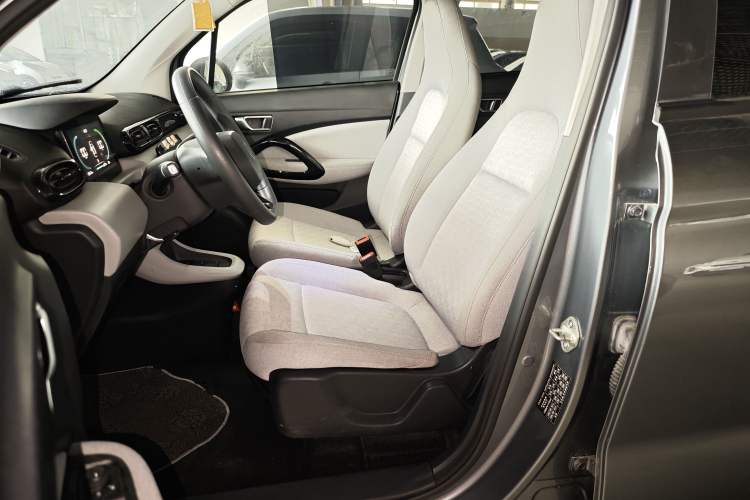 Used Leapmotor T03 2022 Agate Edition Left Front Seat