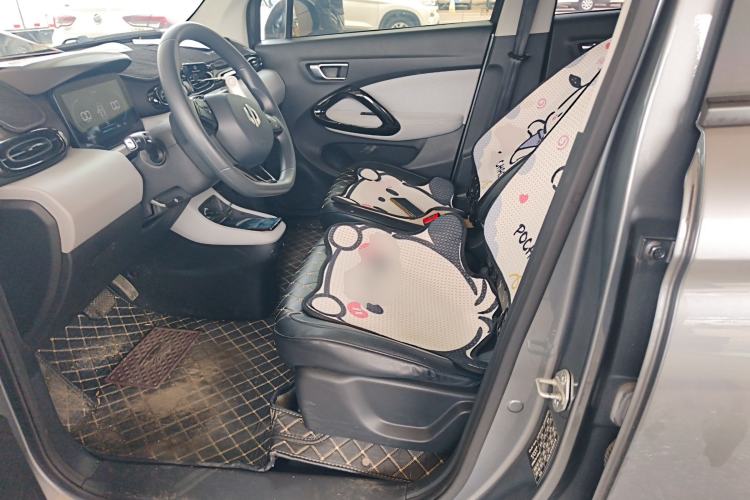 Used Leapmotor T03 2022 Hometown Jade Edition Left Front Seat