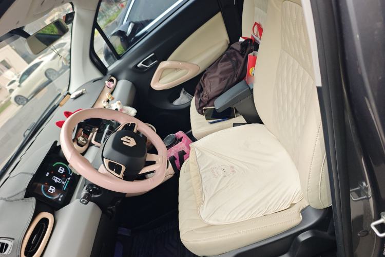 Used Leapmotor T03 2022 Crystal Edition Left Front Seat