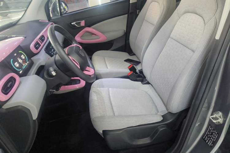 Used Leapmotor T03 2022 Crystal Edition Left Front Seat