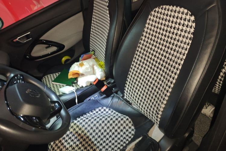 Used Leapmotor T03 2022 Crystal Edition Left Front Seat