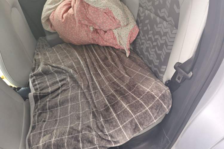 Used Leapmotor T03 2022 YAOJIN Edition Left Rear Seat