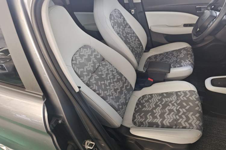Used Leapmotor T03 2022 YAOJIN Edition Right Front Seat