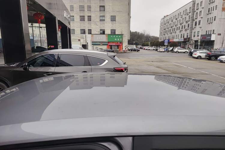 Used Leapmotor T03 2022 Agate Edition Roof
