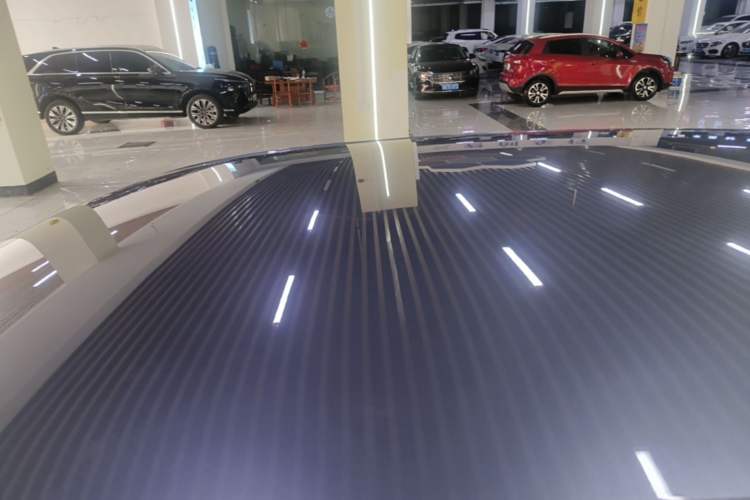 Used Leapmotor T03 2022 Crystal Edition Roof