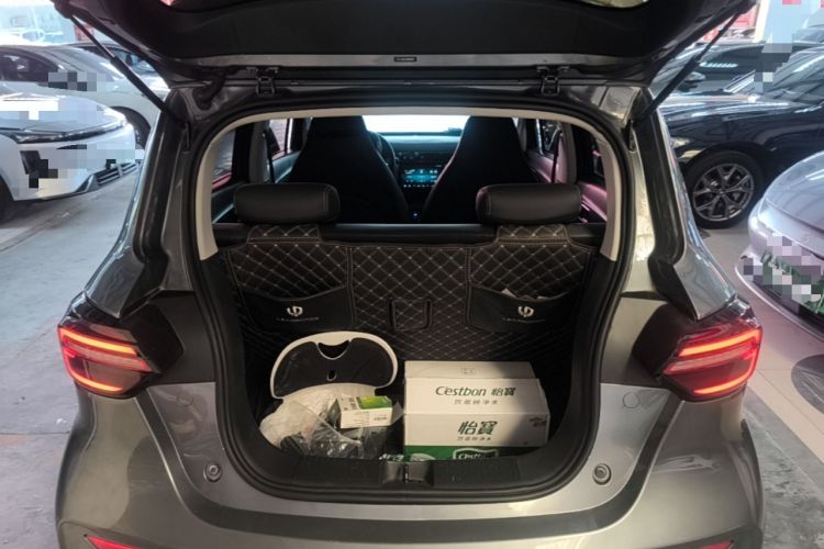 Used Leapmotor T03 2022 Crystal Edition Trunk