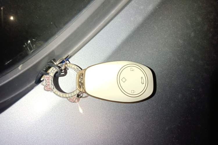Used Leapmotor T03 2022 Crystal Edition Vehicle Key