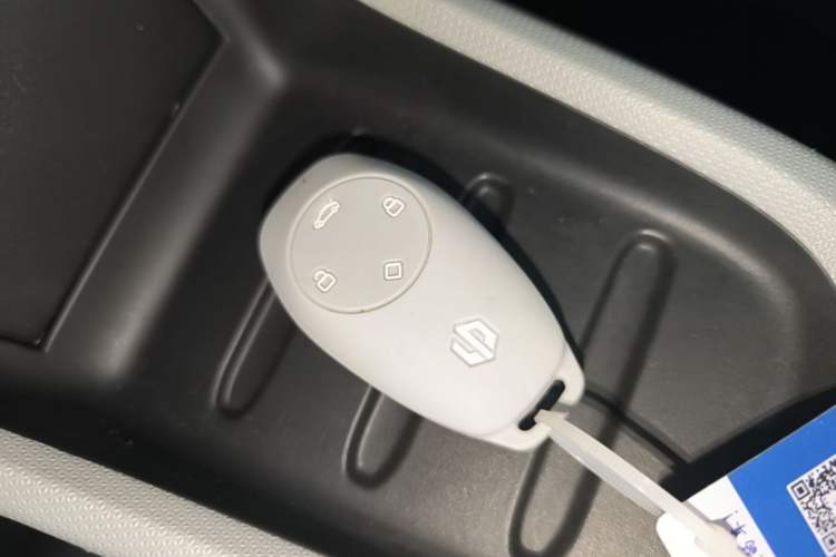 Used Leapmotor T03 2022 Agate Edition Vehicle Key