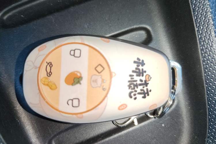 Used Leapmotor T03 2022 Glazed Edition Vehicle Key