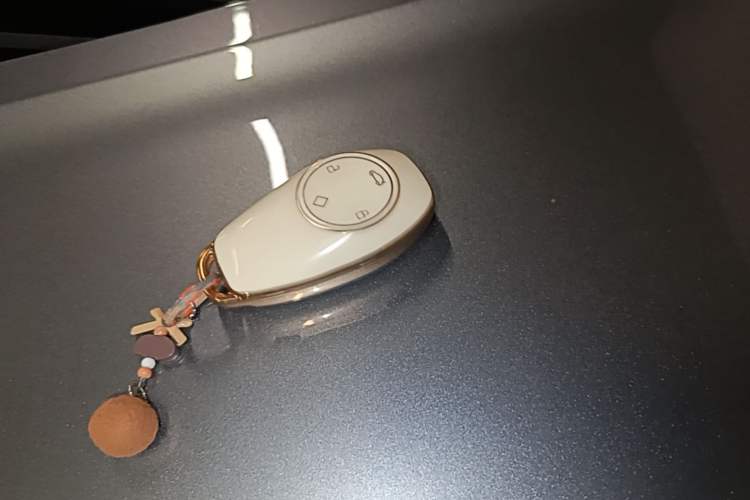 Used Leapmotor T03 2022 Crystal Edition Vehicle Key