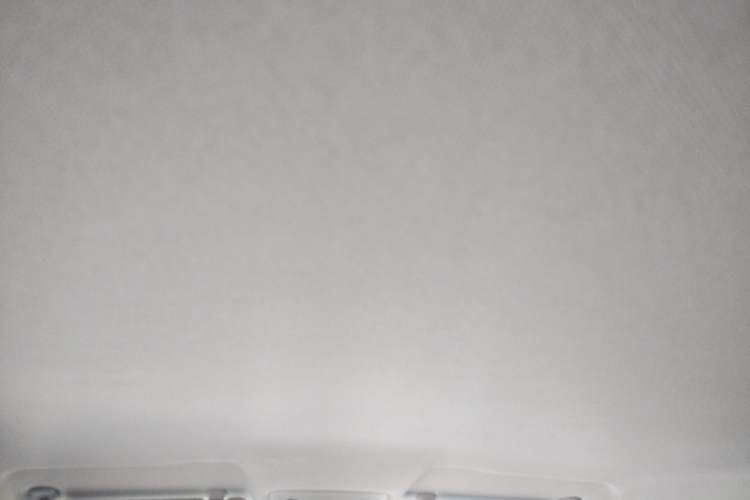 Used Leapmotor T03 2022 Crystal Edition Headliner