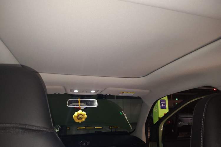 Used Leapmotor T03 2022 YAOJIN Edition Headliner