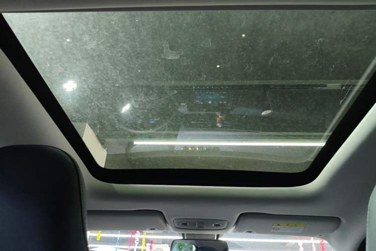 Used Leapmotor T03 2022 Star Diamond Edition Headliner