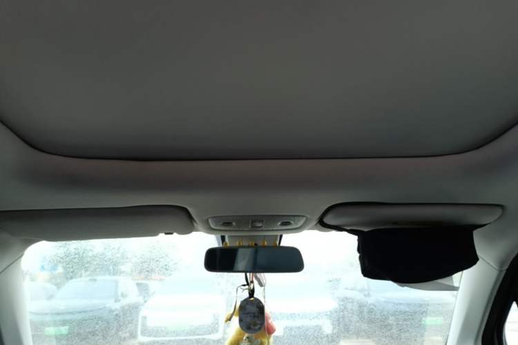 Used Leapmotor T03 2022 Star Diamond Edition Headliner