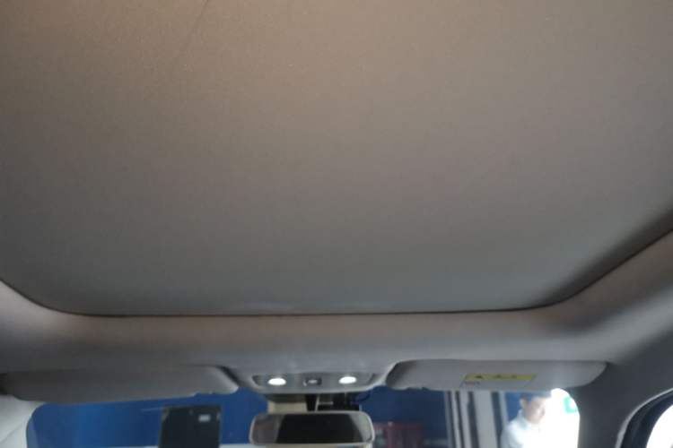Used Leapmotor T03 2022 YAOJIN Edition Headliner