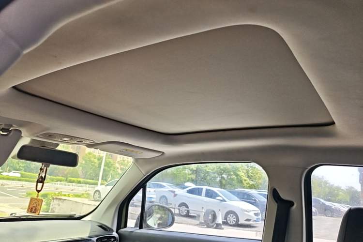Used Leapmotor T03 2022 Star Diamond Edition Headliner