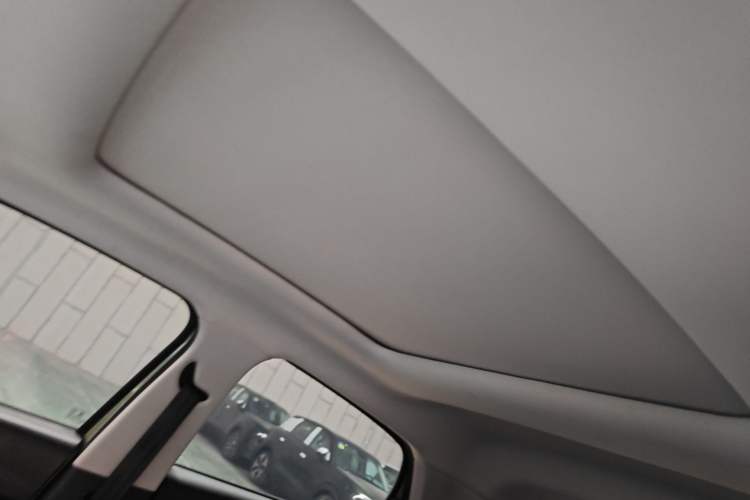 Used Leapmotor T03 2022 Star Diamond Edition Headliner