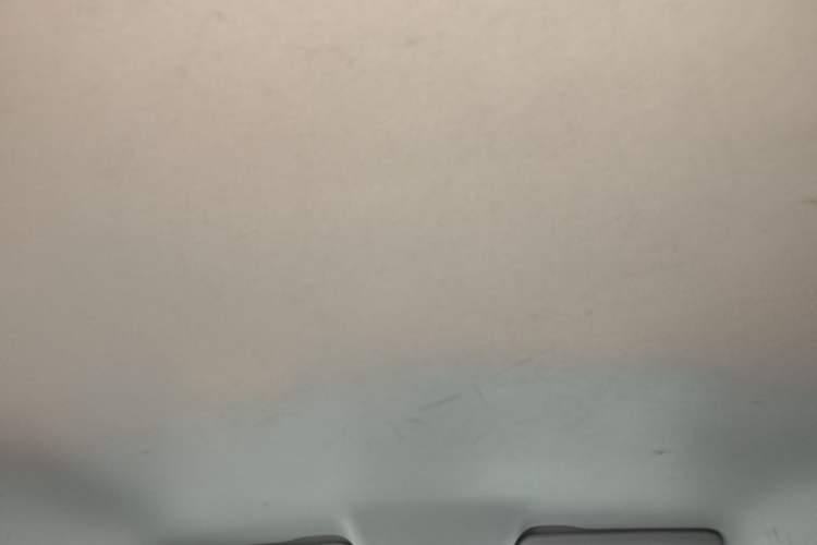 Used Leapmotor T03 2022 Crystal Edition Headliner