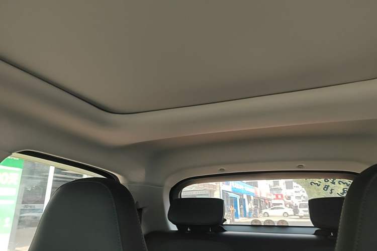 Used Leapmotor T03 2022 Star Diamond Edition Headliner