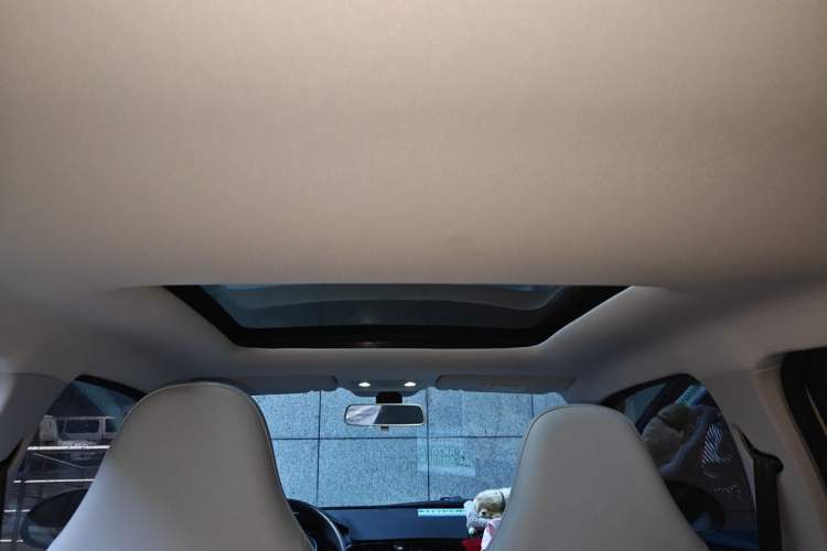 Used Leapmotor T03 2022 YAOJIN Edition Headliner