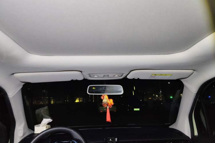 Used Leapmotor T03 2022 YAOJIN Edition Headliner