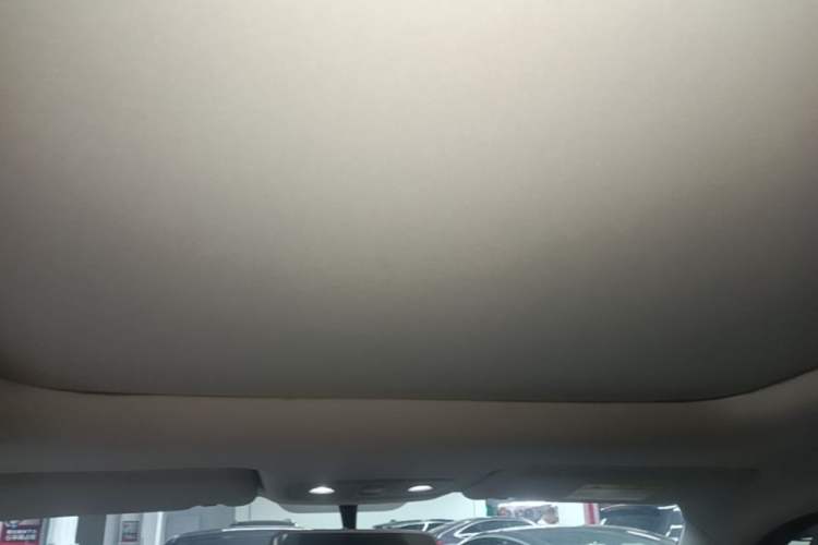 Used Leapmotor T03 2022 YAOJIN Edition Headliner
