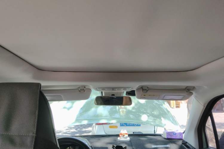 Used Leapmotor T03 2022 Star Diamond Edition Headliner