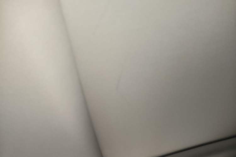 Used Leapmotor T03 2022 YAOJIN Edition Headliner
