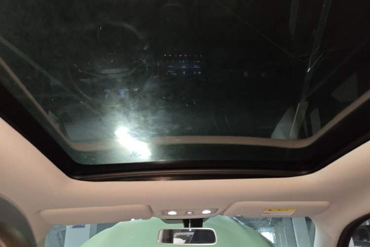 Used Leapmotor T03 2022 YAOJIN Edition Headliner