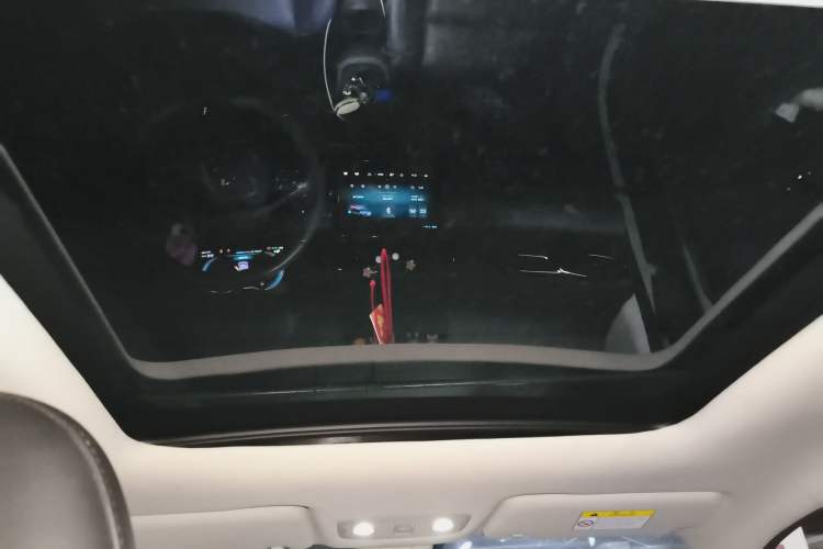 Used Leapmotor T03 2022 YAOJIN Edition Headliner