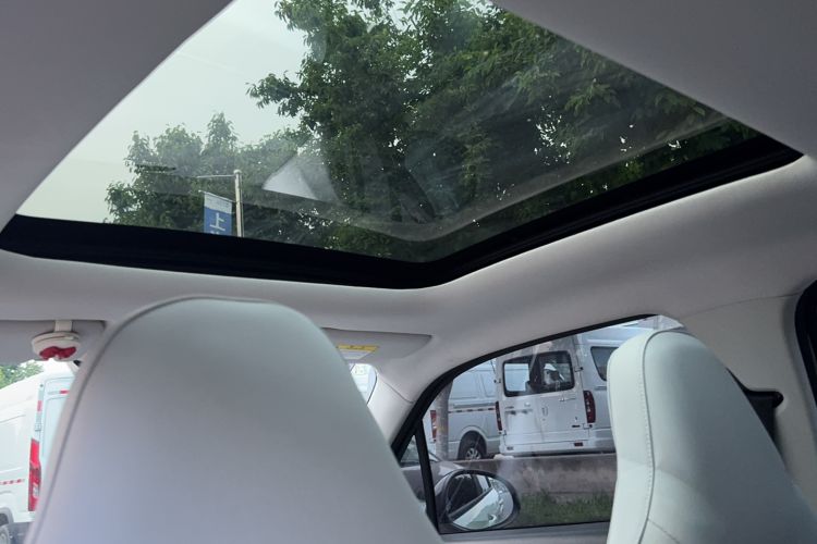 Used Leapmotor T03 2022 YAOJIN Edition Headliner