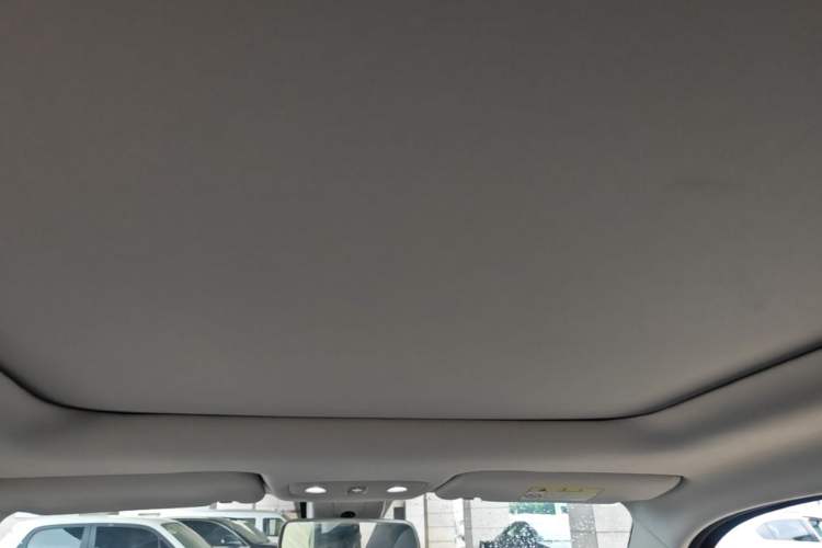 Used Leapmotor T03 2022 Star Diamond Edition Headliner
