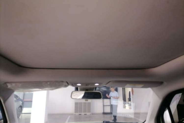 Used Leapmotor T03 2022 Star Diamond Edition Headliner