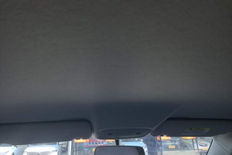 Used Leapmotor T03 2022 Hometown Jade Edition Headliner