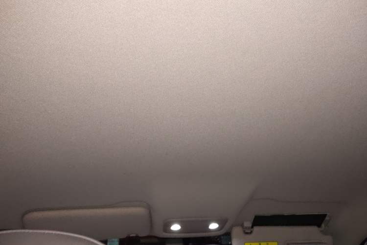 Used Leapmotor T03 2022 Crystal Edition Headliner