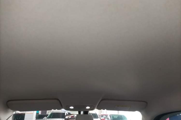 Used Leapmotor T03 2022 Crystal Edition Headliner