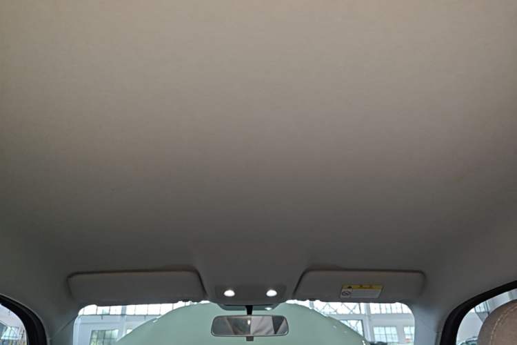 Used Leapmotor T03 2022 Hometown Jade Edition Headliner
