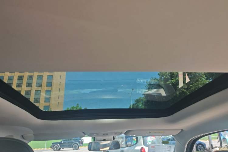 Used Leapmotor T03 2022 Star Diamond Edition Headliner