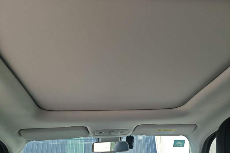 Used Leapmotor T03 2022 Star Diamond Edition Headliner