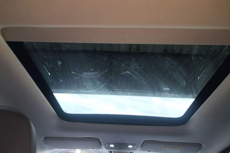 Used Leapmotor T03 2022 Star Diamond Edition Headliner