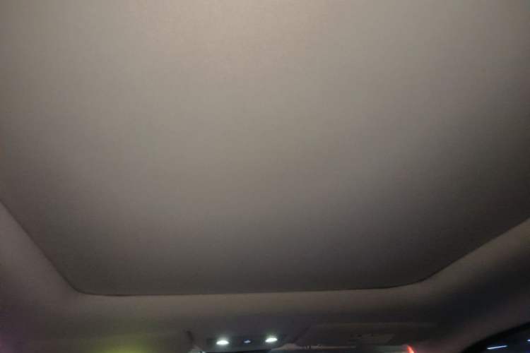 Used Leapmotor T03 2022 YAOJIN Edition Headliner