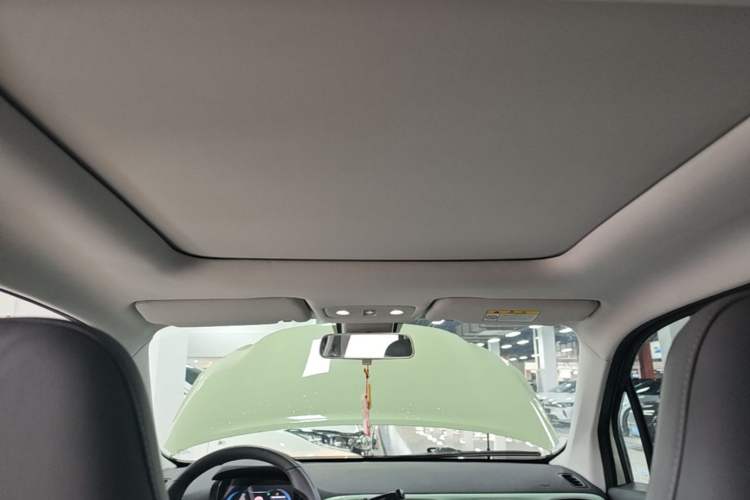 Used Leapmotor T03 2022 YAOJIN Edition Headliner