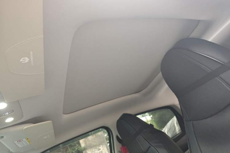 Used Leapmotor T03 2022 Star Diamond Edition Headliner