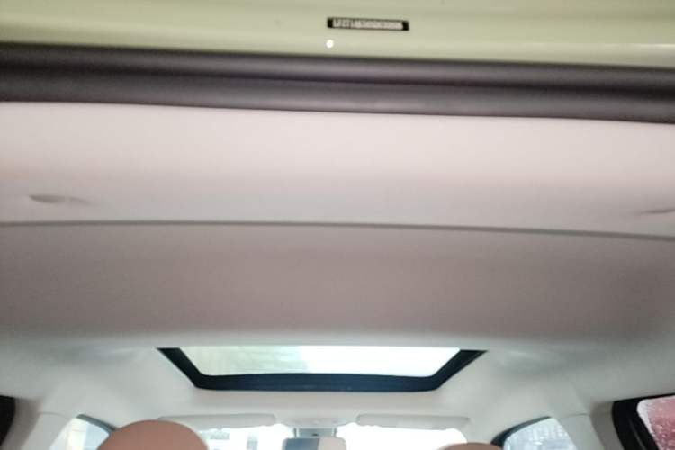Used Leapmotor T03 2022 Star Diamond Edition Headliner