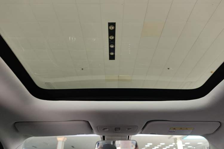 Used Leapmotor T03 2022 Star Diamond Edition Headliner