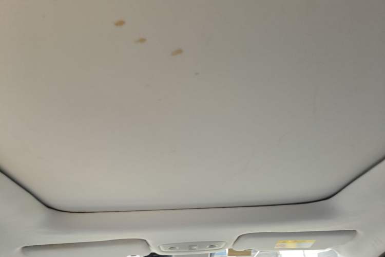 Used Leapmotor T03 2022 Star Diamond Edition Headliner