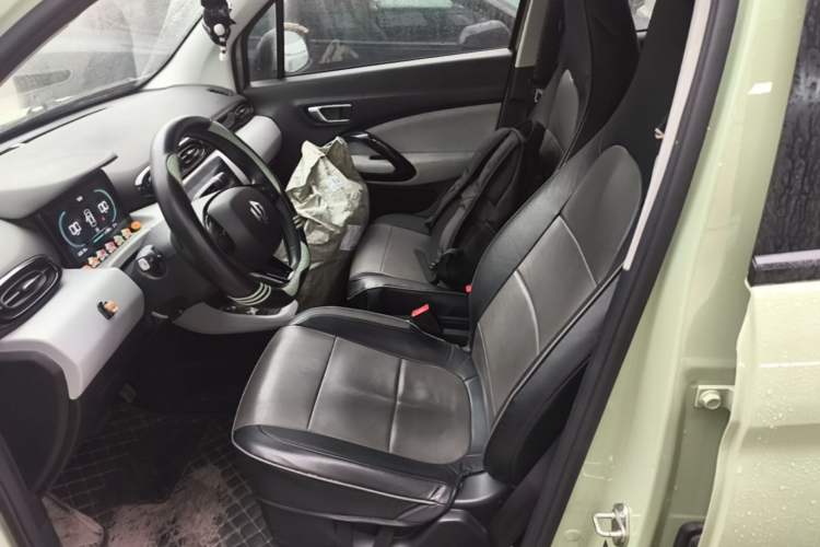 Used Leapmotor T03 2022 Crystal Edition Left Front Seat