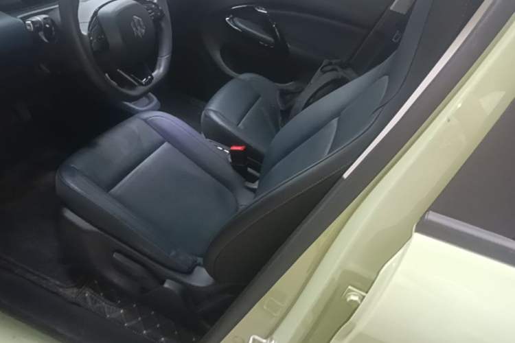 Used Leapmotor T03 2022 YAOJIN Edition Left Front Seat